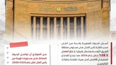 "مصر تتوج إقليميًا: القطاع المصرفي يحصد أعلى تصنيف عالمي من فيتش"