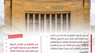 "مصر تتوج إقليميًا: القطاع المصرفي يحصد أعلى تصنيف عالمي من فيتش"