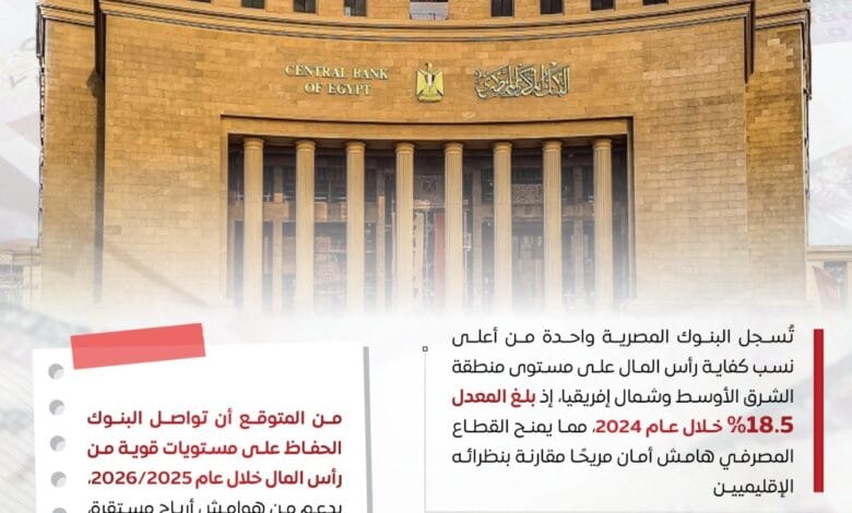 "مصر تتوج إقليميًا: القطاع المصرفي يحصد أعلى تصنيف عالمي من فيتش"