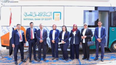 برعاية البنك المركزي.. البنك الأهلي المصري يحوّل قرية الرديسية إلى أول قرية رقمية