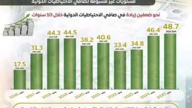 قفزة قياسية في تحويلات المصريين بالخارج: 36.5 مليار دولار تعزز احتياطيات النقد الأجنبي