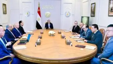 السيسي يستعرض استثمارات "سكاتك" النرويجية و"صنجرو" الصينية في الطاقة الشمسية وتصنيع بطاريات التخزين بمصر