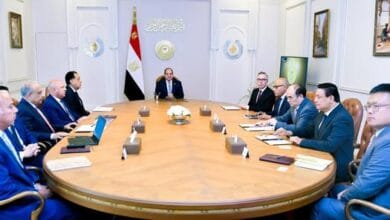 السيسي يستعرض استثمارات "سكاتك" النرويجية و"صنجرو" الصينية في الطاقة الشمسية وتصنيع بطاريات التخزين بمصر