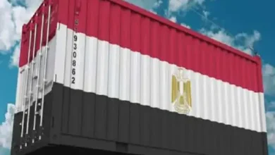 الصادرات المصرية