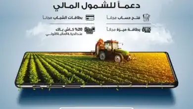 بنك مصر يطلق عروض "عيد الفلاح" 2025: حسابات مجانية وبطاقات ميزة للشباب والمرأة