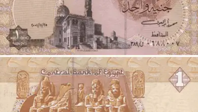 الجنيه المصري يكتب قصة نجاح جديدة.. أقوى عملة إقليمية في 2025
