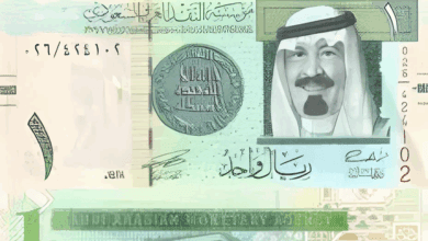 الجنيه أمام العملات الأجنبية اليوم.. اليورو فوق 56 جنيهاً والدينار الكويتي الأعلى سعراً