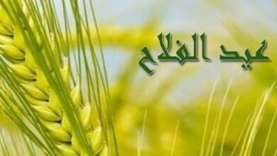 البنوك المصرية تشارك في فعالية الشمول المالي للفلاح حتى 15 سبتمبر تحت رعاية المركزي