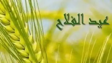 بمناسبة عيد الفلاح.. إعفاء كامل من مصاريف الحسابات والبطاقات بالبنك الزراعي