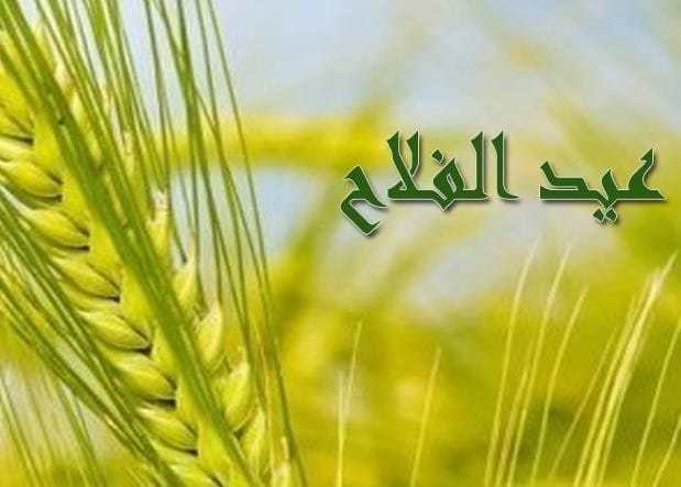 بمناسبة عيد الفلاح.. إعفاء كامل من مصاريف الحسابات والبطاقات بالبنك الزراعي
