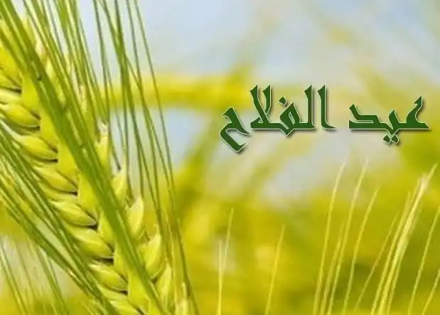 بمناسبة عيد الفلاح.. إعفاء كامل من مصاريف الحسابات والبطاقات بالبنك الزراعي