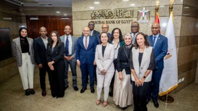 البنك المركزي المصري يستضيف الاجتماع الأول لمجموعة عمل تقرير الاستقرار المالي الإفريقي