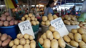 مصر تعزز صادراتها الزراعية والصناعية إلى روسيا بنمو 42% خلال 2025