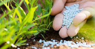 مصر تخطط لزيادة صادرات الأسمدة إلى 55% مع الحفاظ على دعم السوق المحلي