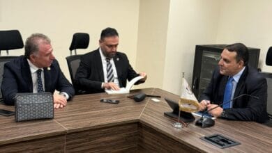 4 مليارات دولار استثمارات تركية في مصر.. ووفد NG Group يدرس التوسع