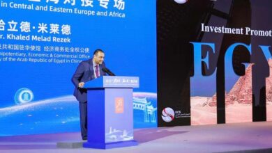 2,751 شركة صينية في مصر.. استثمارات تتجاوز 1.16 مليار دولار وتوسع جديد قادم
