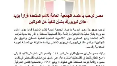 مصر ترحب باعتماد الأمم المتحدة قرارا يؤيد إعلان نيويورك بشأن تنفيذ حل الدولتين