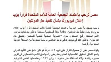 مصر ترحب باعتماد الأمم المتحدة قرارا يؤيد إعلان نيويورك بشأن تنفيذ حل الدولتين