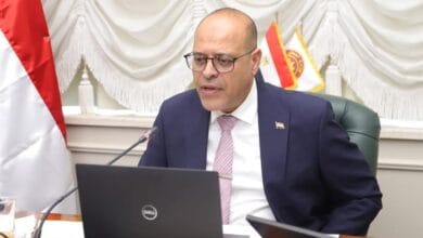 قانون العمل الجديد: ضبط المخالفين الأجانب وتطبيق غرامات تصل إلى 100 ألف جنيه