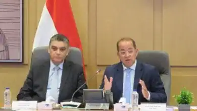 الحكومة تعلن آليات جديدة لدعم شركات الأدوية: 7.4 مليار جنيه نقدًا و14.7 مليار تسهيلات