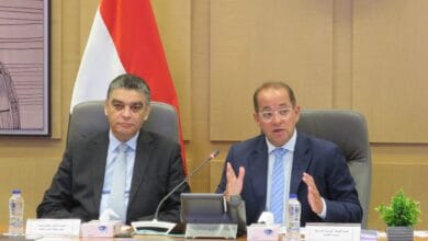 الحكومة تعلن آليات جديدة لدعم شركات الأدوية: 7.4 مليار جنيه نقدًا و14.7 مليار تسهيلات