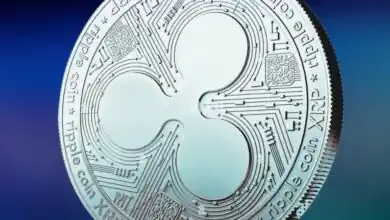 الرئيس التنفيذي لشركة ريبل يتهم وول ستريت بالنفاق بشأن رفض دخول شركات التشفير للاحتياطي الفيدرالي
