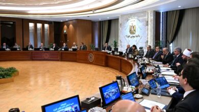 مجلس الوزراء يقر إنشاء ديوان جديد بالمنوفية وتحويل معهد السادات لكلية التكنولوجيا