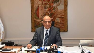 سيناء تشهد تطويرًا شاملًا لشبكات الكهرباء باستثمارات 10 مليارات جنيه في 2025