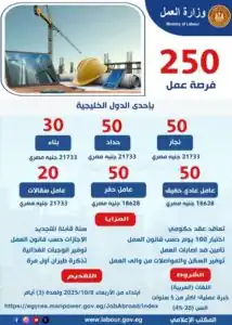 250 فرصة عمل للشباب المصري في الخليج براتب 21 ألف جنيه – التقديم الآن
