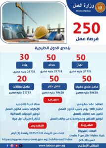 250 فرصة عمل للشباب المصري في الخليج براتب 21 ألف جنيه – التقديم الآن