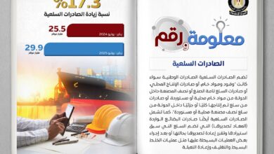 الصادرات السلعية المصرية تقفز 17.3% لتتجاوز 4 مليارات دولار في 7 أشهر من 2025