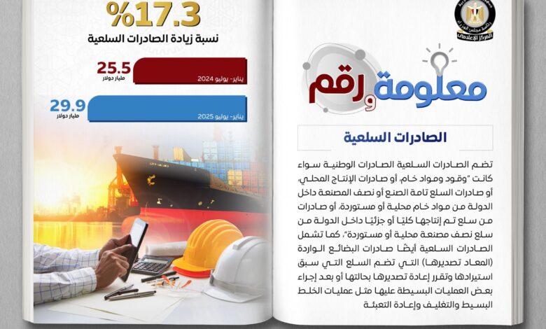 الصادرات السلعية المصرية تقفز 17.3% لتتجاوز 4 مليارات دولار في 7 أشهر من 2025