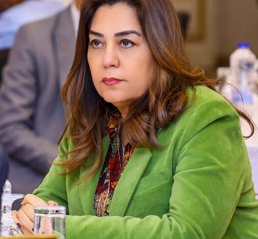 وزيرة التنمية المحلية تعتمد الحركة السنوية لقيادات الإدارة المحلية بالمحافظات