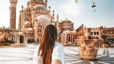 مصر تتصدر السياحة الصينية بنمو قياسي يتجاوز 200% خلال «الأسبوع الذهبي»