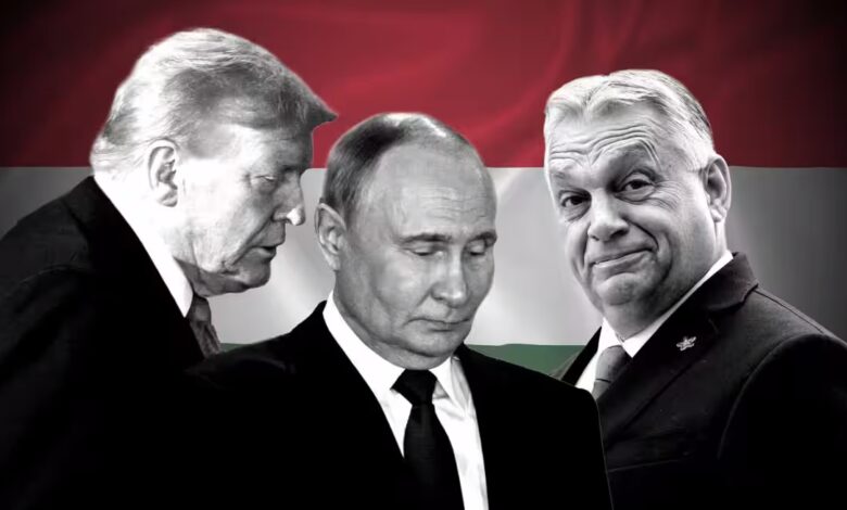 قمة ترامب-بوتين في بودابست تثير القلق الأوروبي وتواجه انتقادات زيلينسكي