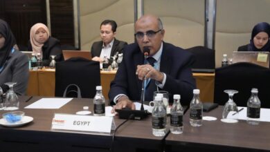 مصر ترأس لجنة الحرف التراثية وتصدر أول مواصفة قياسية للدول الإسلامية