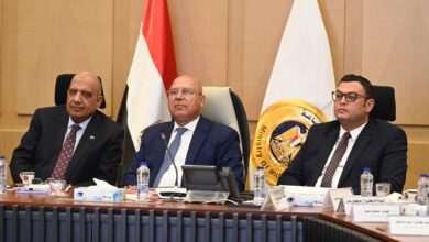 كامل الوزير: قرارات جديدة لدعم الاستثمار الصناعي وتسهيل تسجيل الأعلاف والطاقة النظيفة