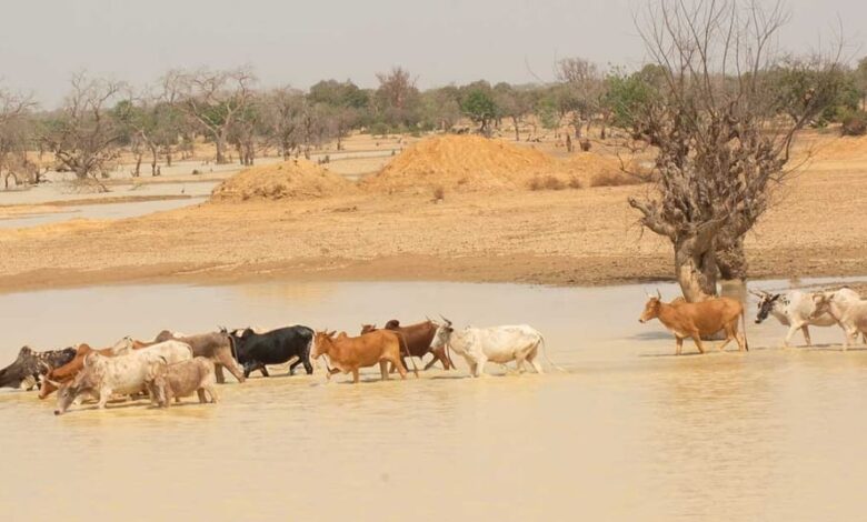 صندوق التنمية الأفريقي يوافق على 9.48 مليون دولار لمواجهة تغير المناخ بالساحل