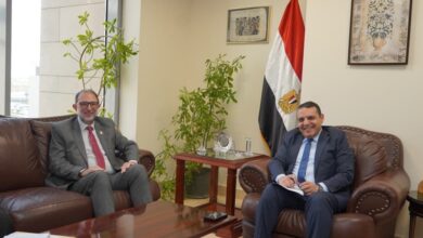 "سلامة الغذاء" و"التمثيل التجاري" يبحثان تعزيز نفاذ الصادرات المصرية للأسواق العالمية