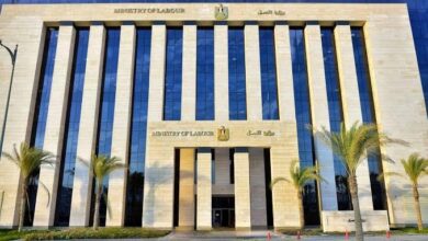 وزارة العمل تعلن عن 6200 وظيفة جديدة في الضبعة النووي … تفاصيل وشروط التقديم