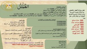 وزارة العمل تعلن عن 6200 وظيفة جديدة في الضبعة النووي … تفاصيل وشروط التقديم