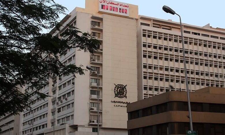 الإحصاء: انخفاض الزواج وزيادة الطلاق في مصر لعام 2024