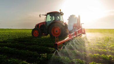 البنك الأفريقي للتنمية يموّل 211 مليون دولار لتعزيز الزراعة وخلق 7,500 فرصة عمل في أنغولا