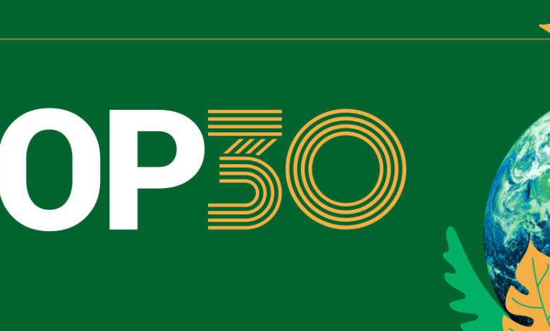 «جلوبال فاينانس»: مؤتمر الأطراف الثلاثين يختبر جدية العالم من الوعود إلى التنفيذ