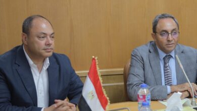 تنمية الصعيد: مشروعات نوعية بقنا لدعم القطاعات الإنتاجية وتحقيق التنمية المستدامة