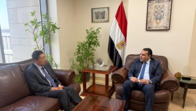 مصر ترسل وفدًا رفيعًا إلى سنغافورة قبل نهاية 2025 لزيادة الاستثمارات الثنائية