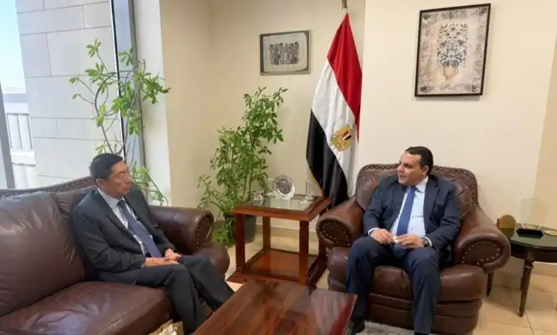 مصر ترسل وفدًا رفيعًا إلى سنغافورة قبل نهاية 2025 لزيادة الاستثمارات الثنائية