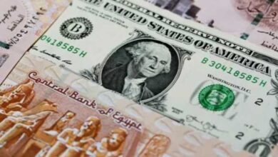 استقرار سعر الدولار مقابل الجنيه المصري في 11 بنكًا مع بداية تعاملات اليوم