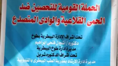 الزراعة تطلق 3 قوافل بيطرية مجانية في القليوبية لدعم صغار المربين