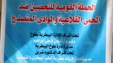 الزراعة تطلق 3 قوافل بيطرية مجانية في القليوبية لدعم صغار المربين